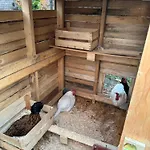 Dalgra E Garden *