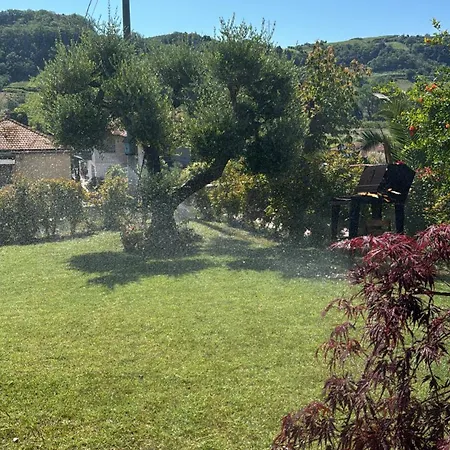 Dalgra E Garden *