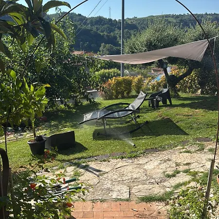 Dalgra E Garden *