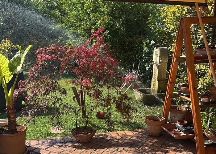 Dalgra E Garden 토레베키아 테아티아